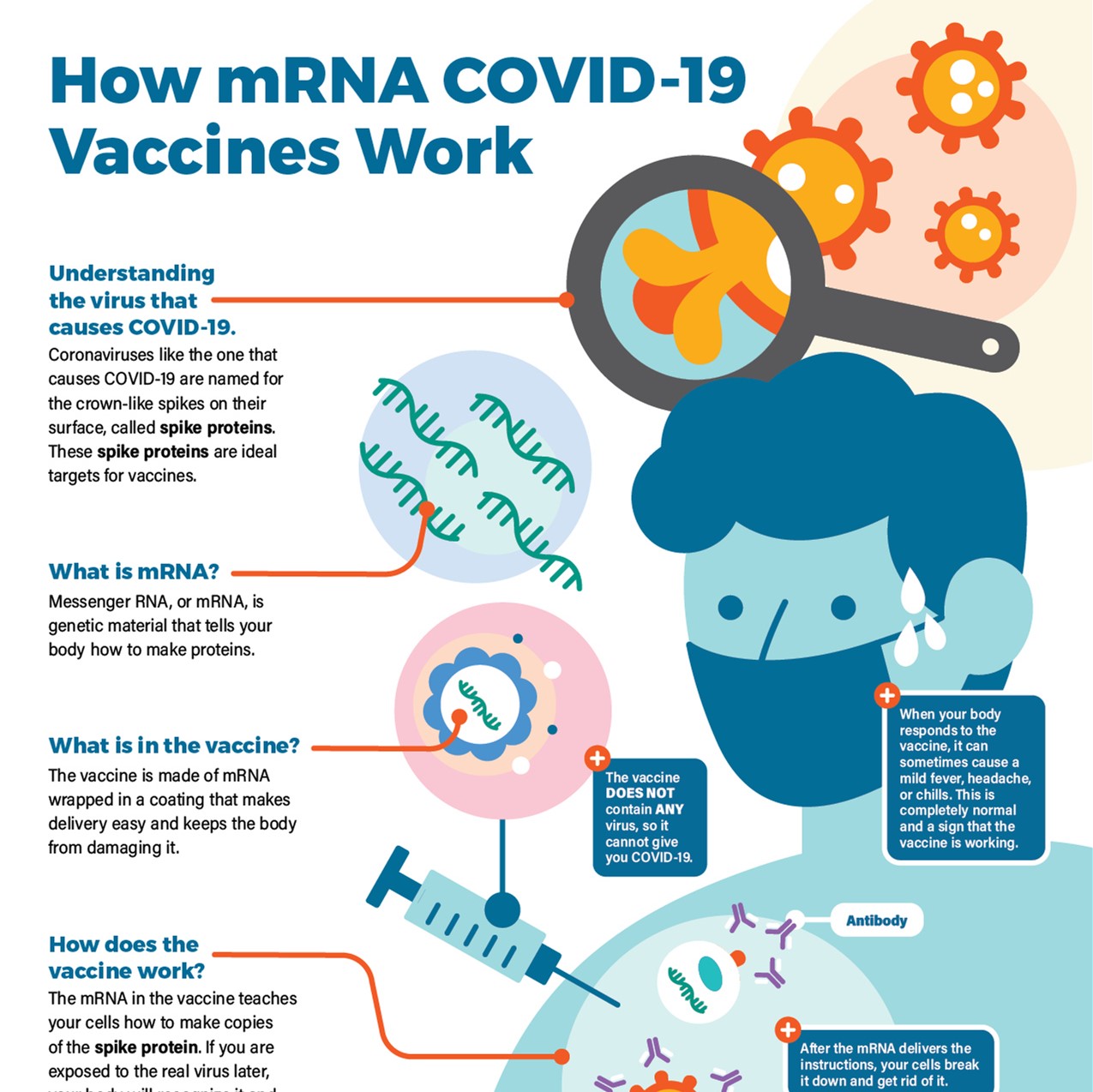 cdc mrna poster